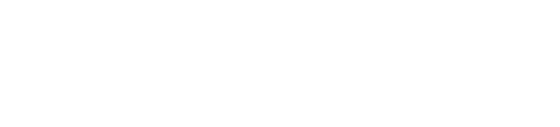 TikTok Ads Partner
